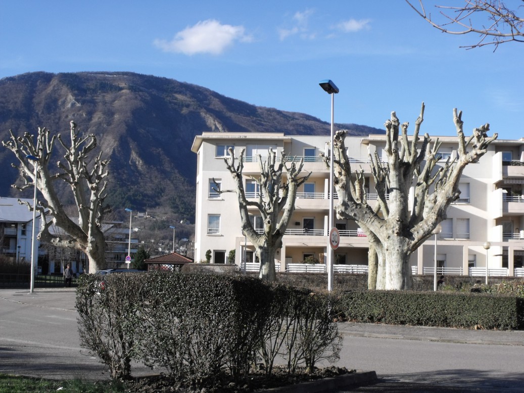 Grenoble - ciekawa roślinność