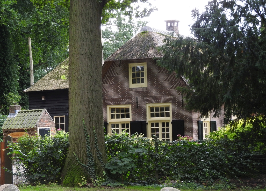 Wiejska zabudowa w okolicy Utrechtu