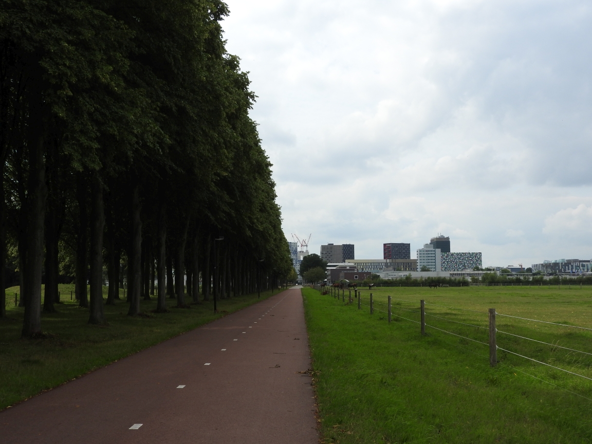 Drogi w okolicy Utrechtu