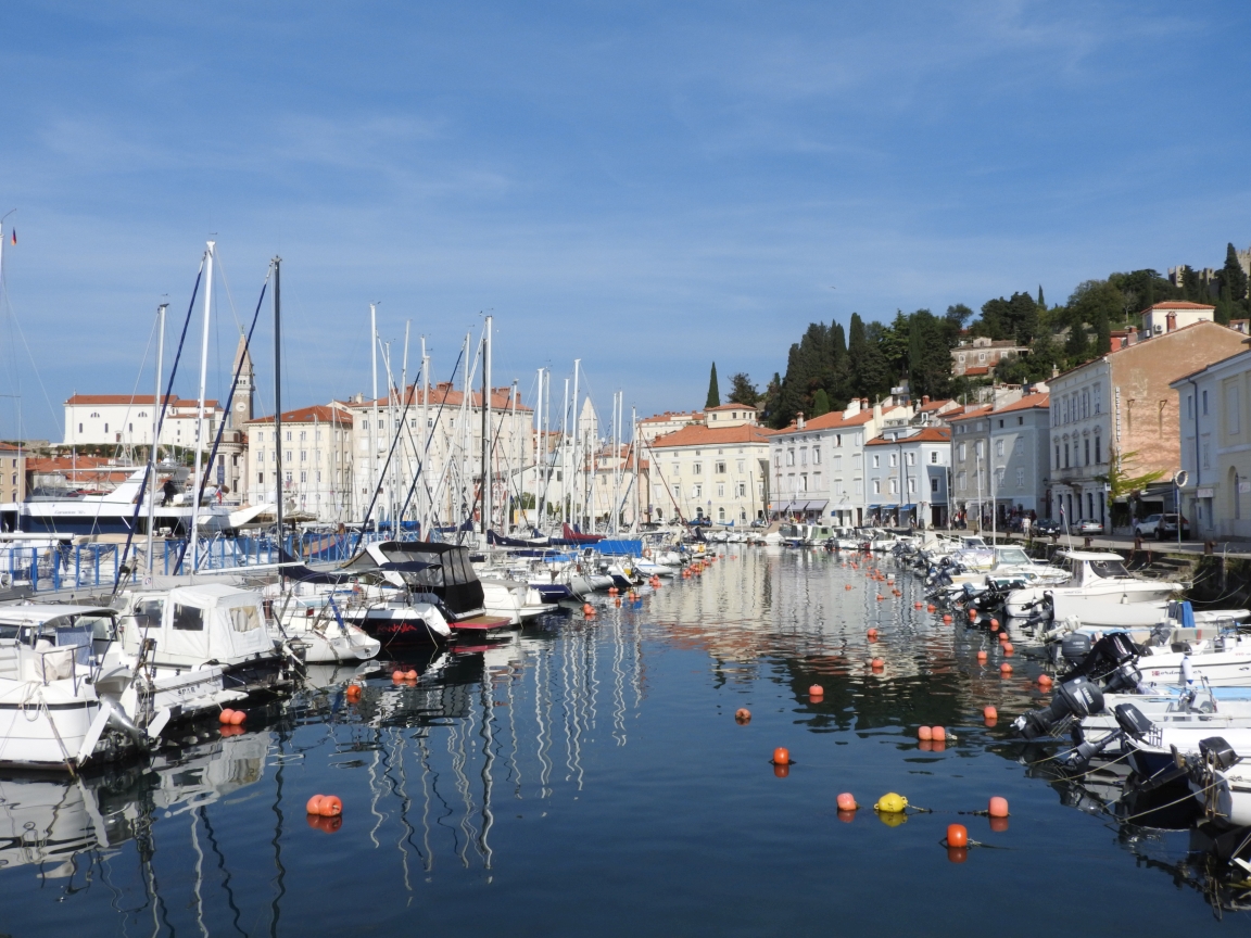 Piran - port